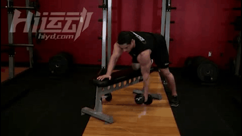 ��������ѵ�� 5������Ч�������������� - ͼƬ3