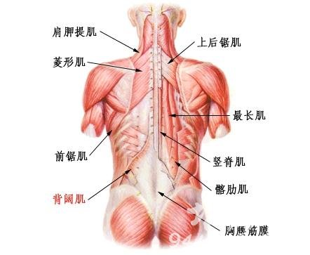 粿ô  - DƬ2