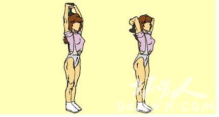 手臂锻炼方法 练出纤细有力量的胳膊 - 图片2