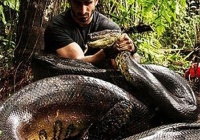 ���������������ȫ�� �̵������o�����p����