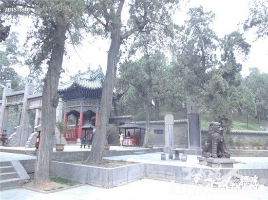 ����Ĺ��Ϊ������������?Ĺ����һ��Ůʬ��˭