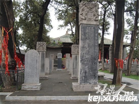 ����Ĺ��Ϊ������������?Ĺ����һ��Ůʬ��˭