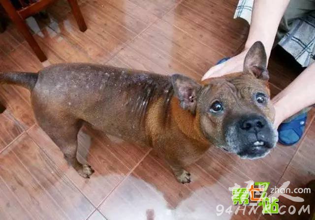 ����Ϊ��һС����ȫ������ͷ���� ��������