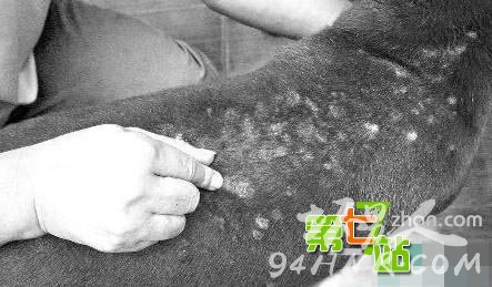 ����Ϊ��һС����ȫ������ͷ���� ��������