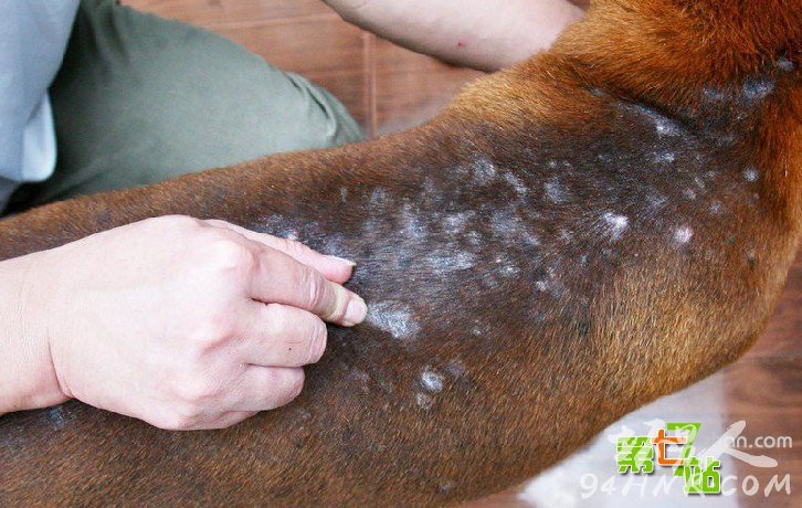 ����Ϊ��һС����ȫ������ͷ���� ��������