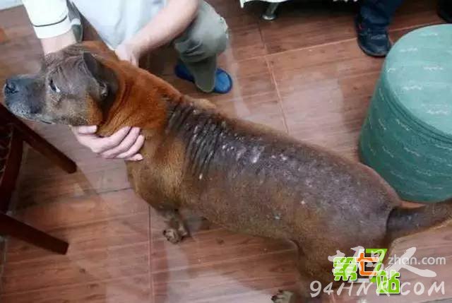 ����Ϊ��һС����ȫ������ͷ���� ��������