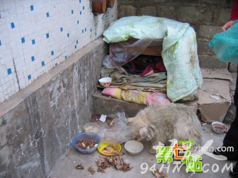 ����Ϊ��һС����ȫ������ͷ���� ��������