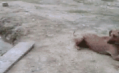 ����Ϊ��һС����ȫ������ͷ���� ��������