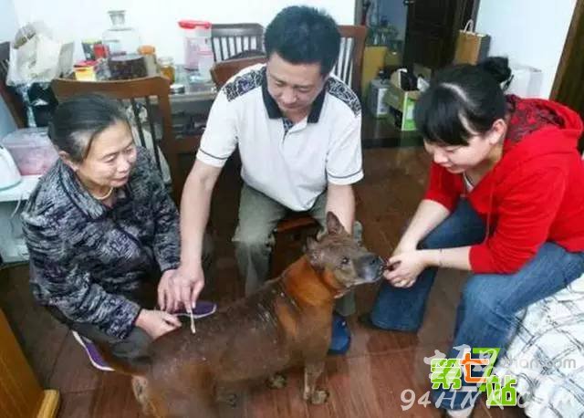 ����Ϊ��һС����ȫ������ͷ���� ��������