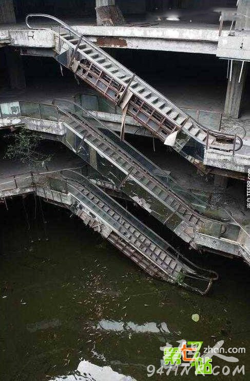 废弃大楼竟发现百万条鱼 场面让人震惊!