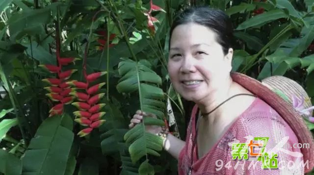 间谍案内幕首次公开披露 解放军内鬼盘点