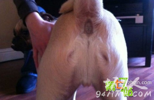 国外十大奇闻 没看就过时了.jpg