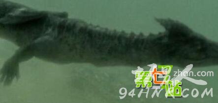 �������ο�Ŀ����ع��޳�ˮ ����������