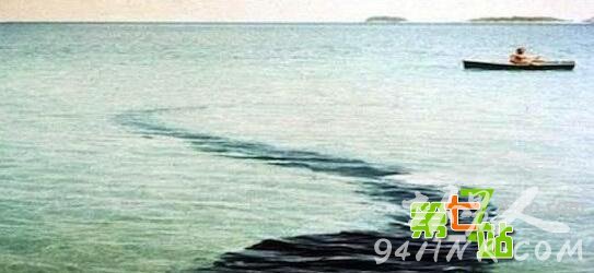 10张未经处理的真实灵异照片 让人汗毛直竖