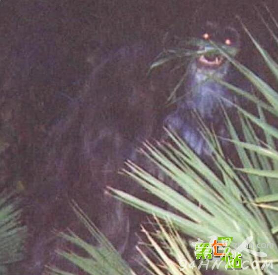 10张未经处理的真实灵异照片 让人汗毛直竖