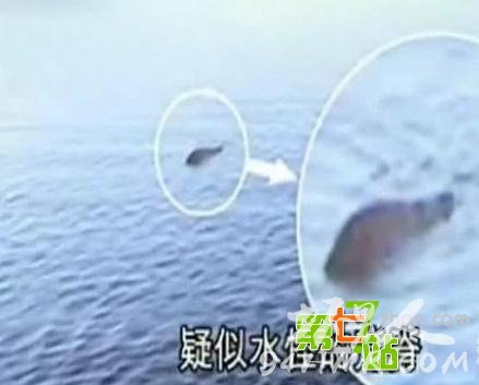 世界八大灵异事件排行